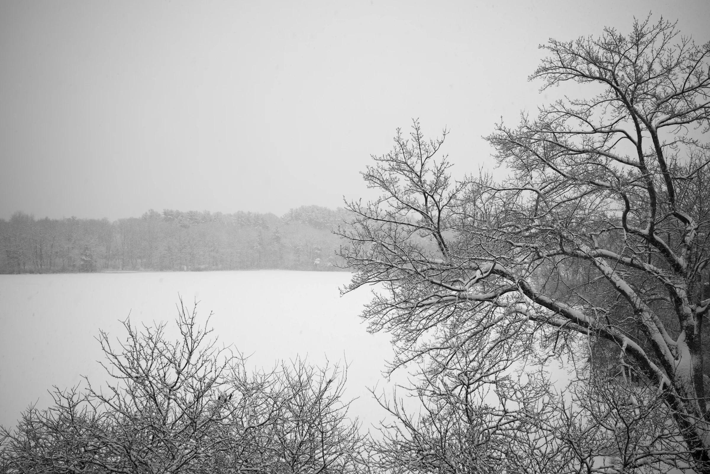 L1007582-2.jpg