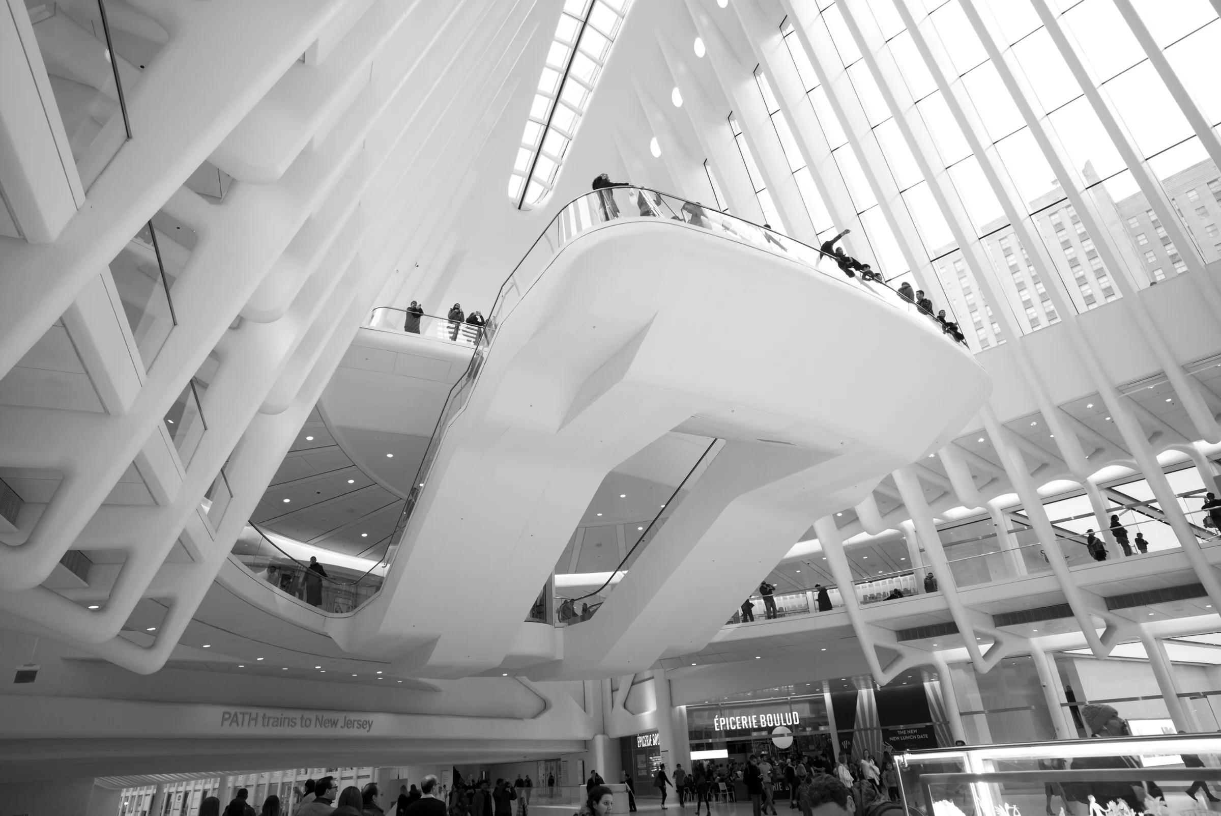 M1000390.jpg