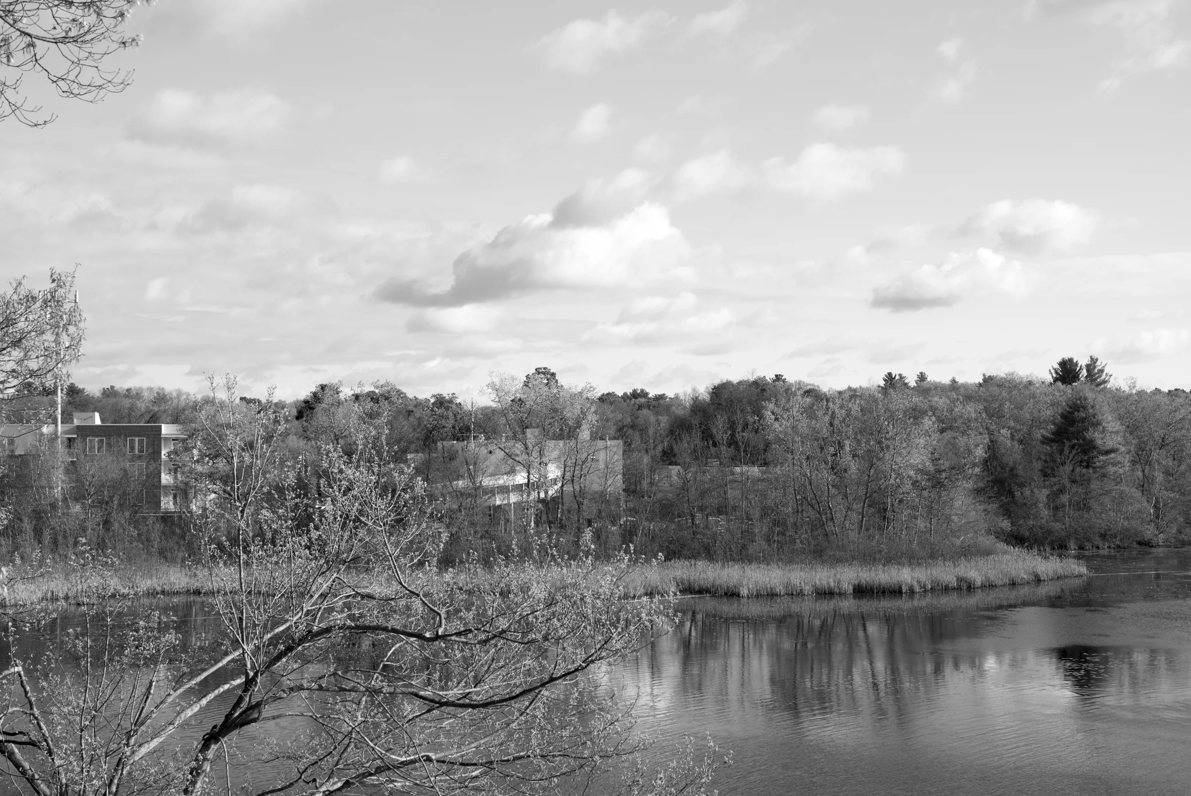M1001081.jpg