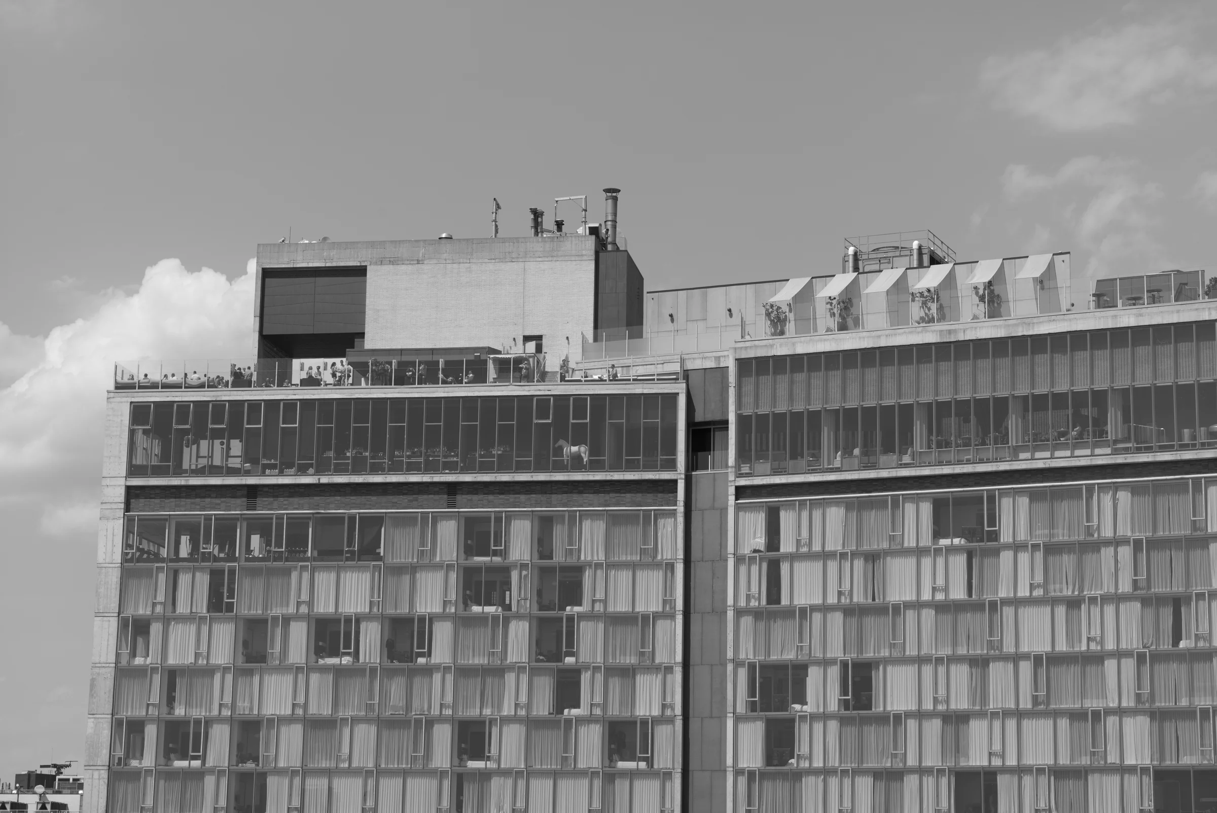 M1001409.jpg