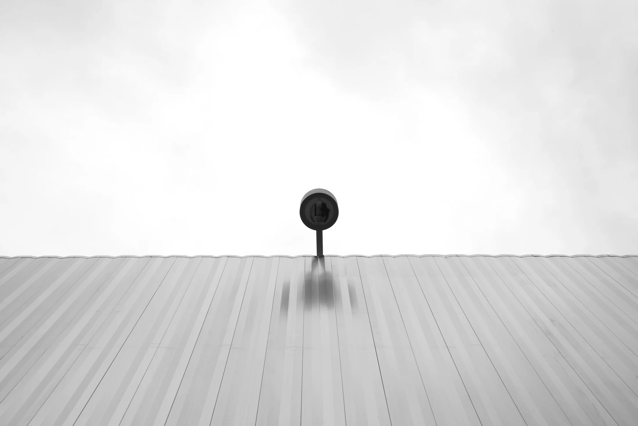 M1005849.jpg