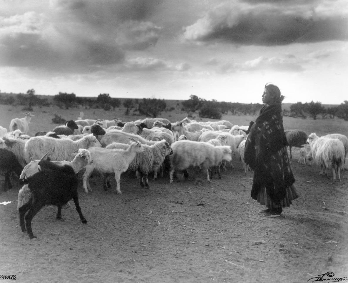 SheepHerding-Woman-1900sEarly.jpg