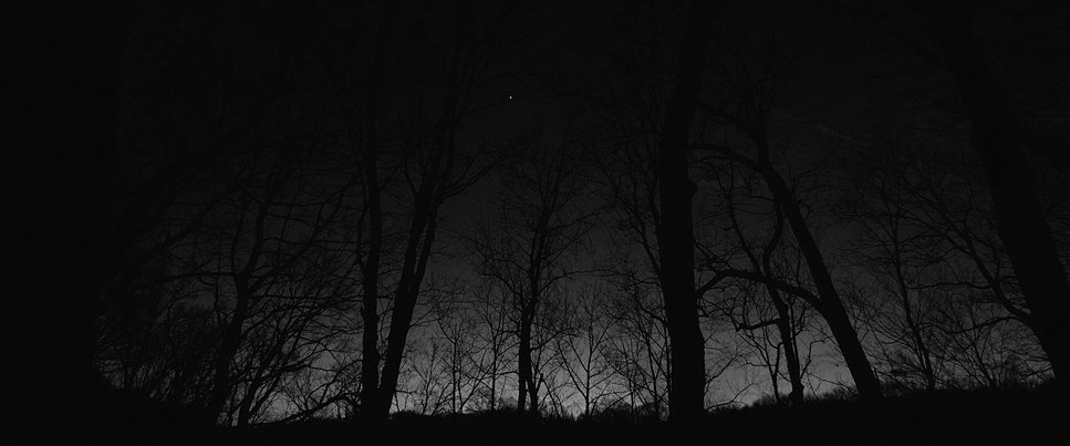 forest-night-alone.jpg