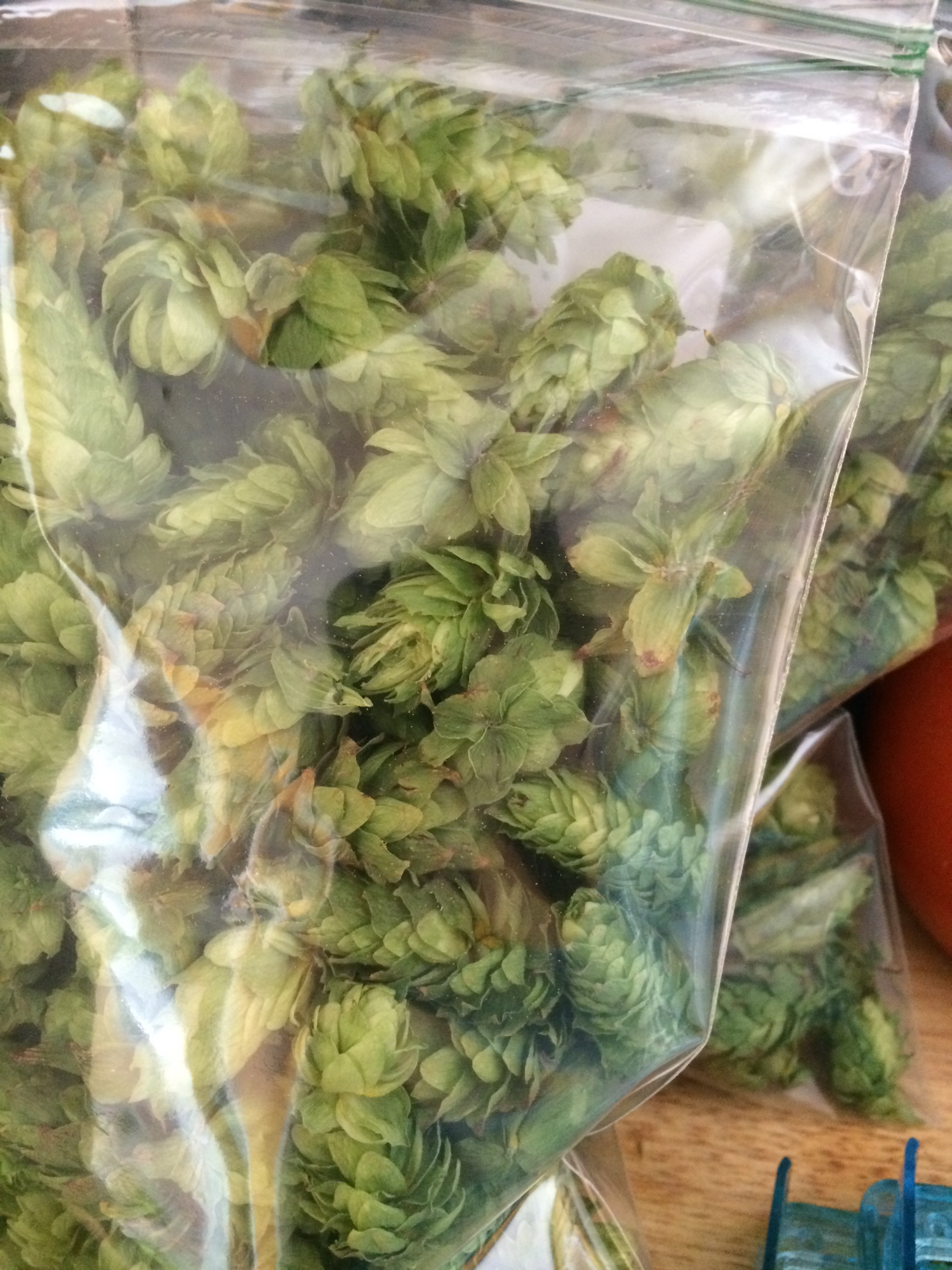 Packing and storage for the freezer