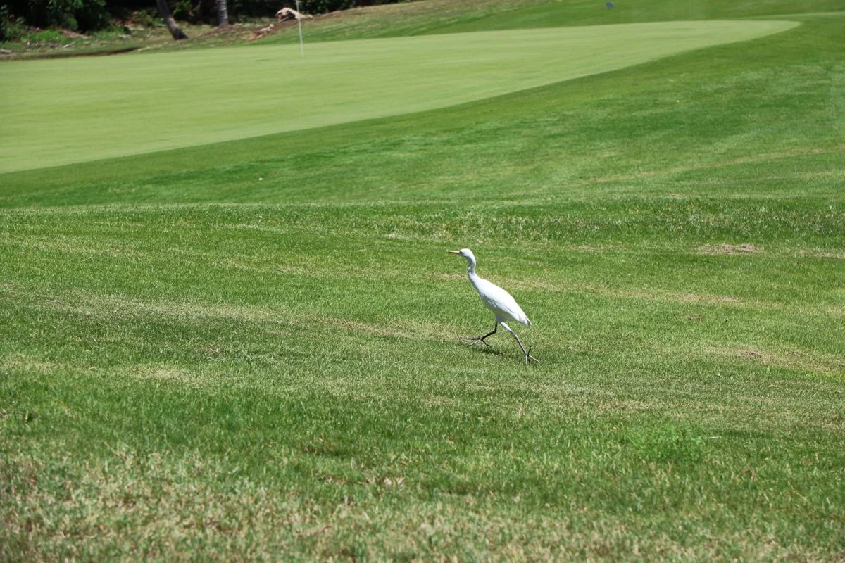 DAA Golf Tournament 2025-342.jpg