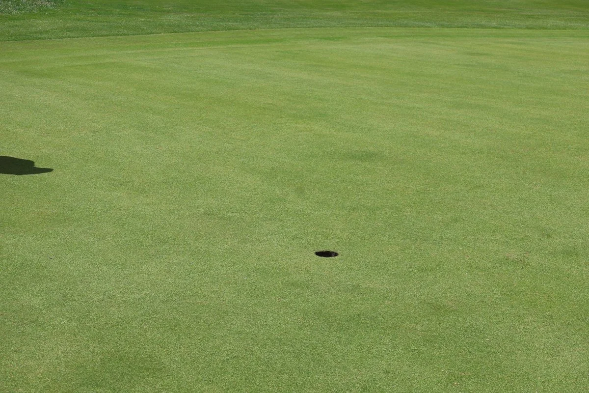 DAA Golf Tournament 2025-429.jpg