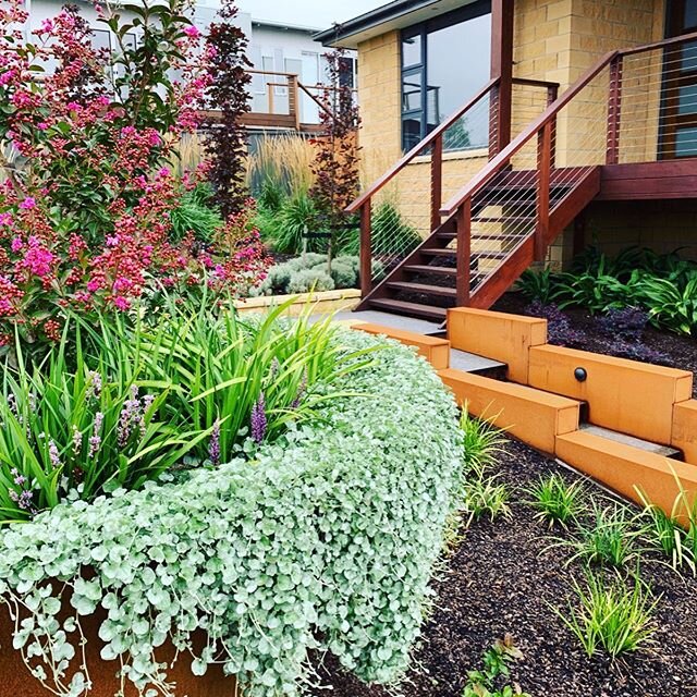 Brown Hill 🌳  We decided to bring out the same concrete blocks used in the house into the garden for retaining walls and then add #cortensteel  Im always so stoked in the way corten takes on its on unique finish and acts as the perfect backdrop for 