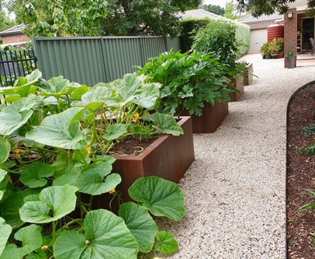 Let&rsquo;s Talk About Wicking Beds🌳
Wick beds are the brain child of yet another clever Aussie! Wicking beds water plants from below rather than above. They're basically containers with water reservoirs at the base - like a giant self-watering pot.
