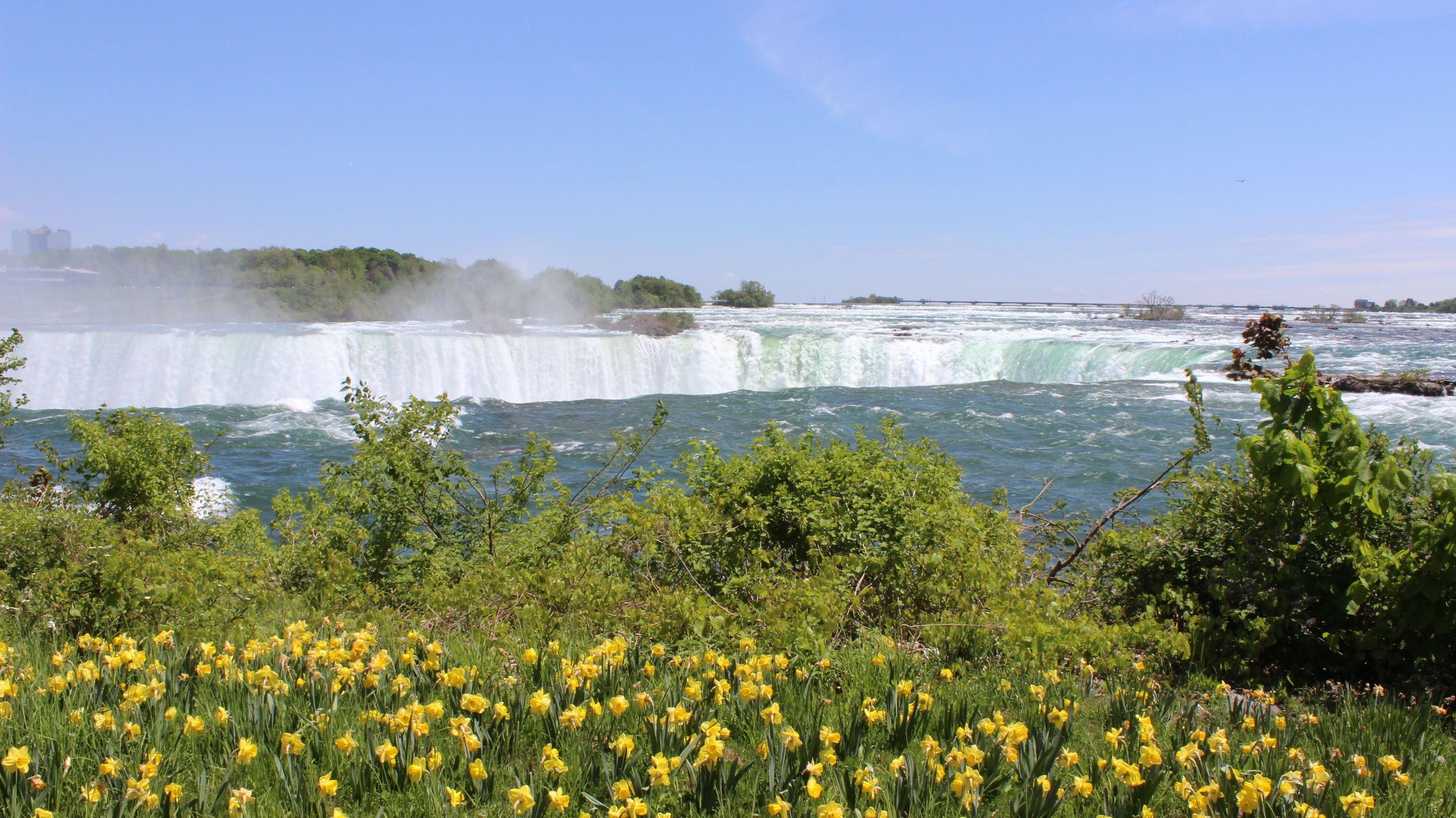 Falls and Flowers