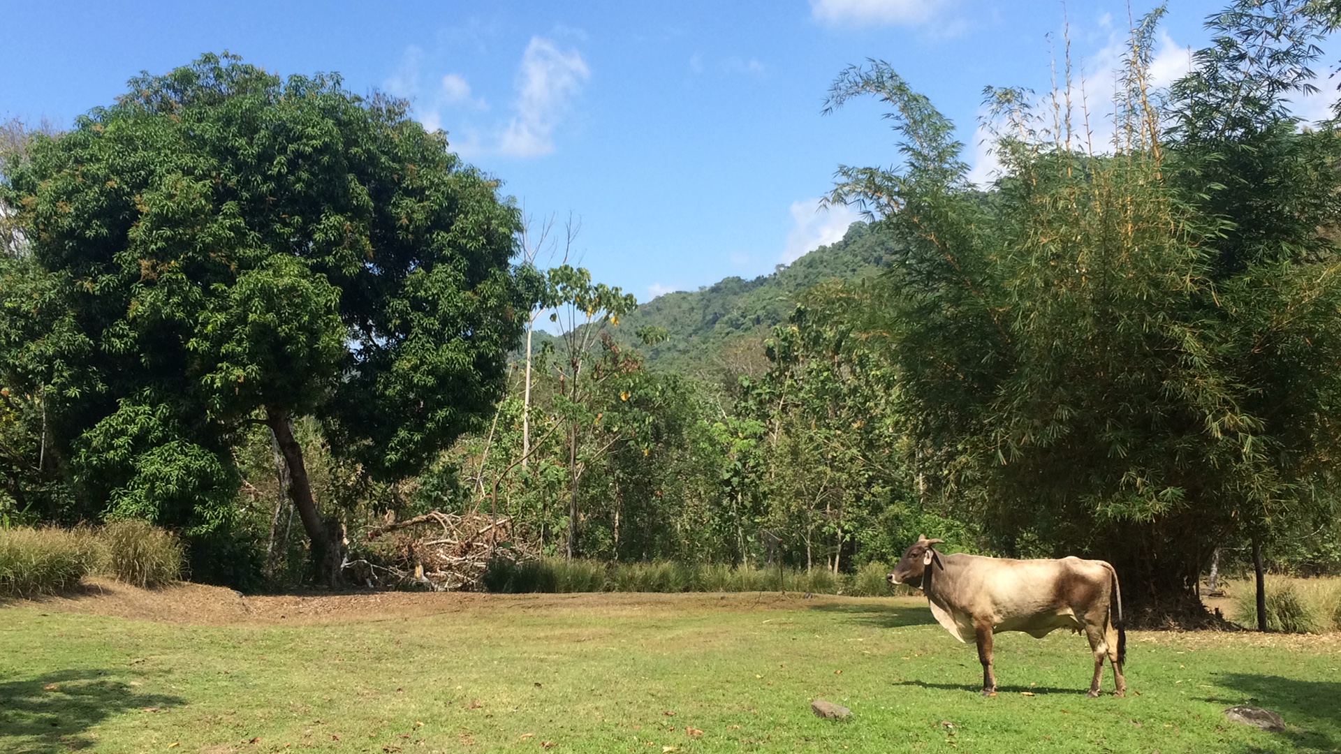 Garabito, Costa Rica