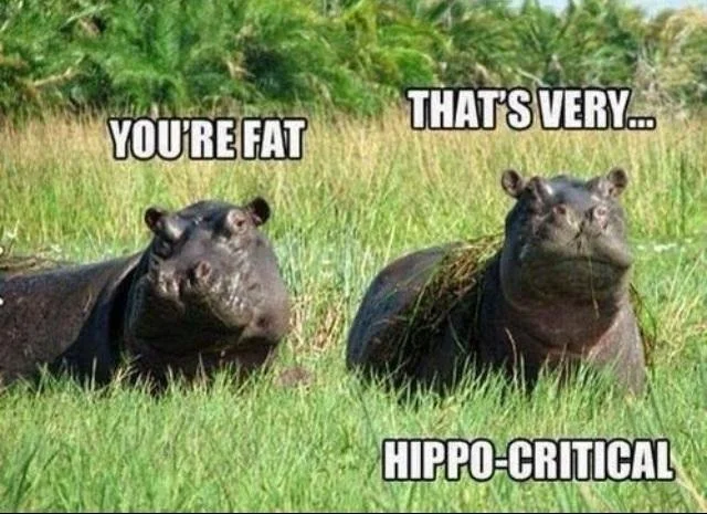 cnhnZO7 2.jpg