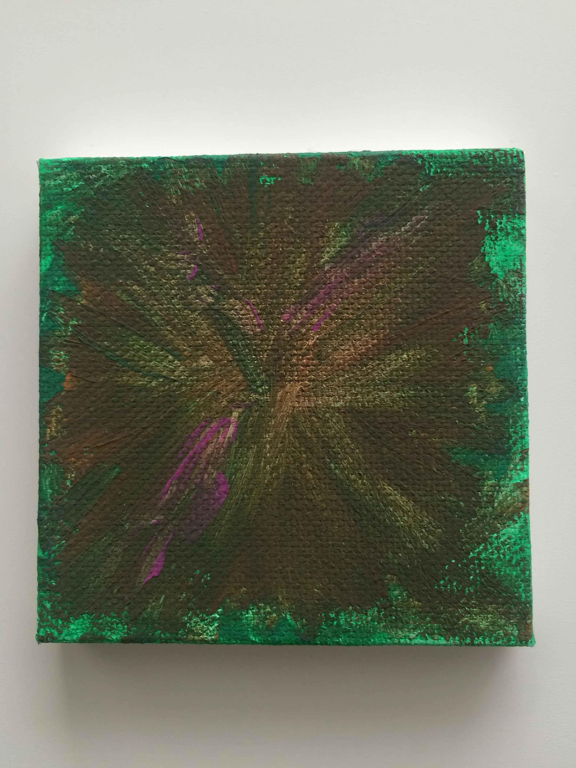 image1.JPG