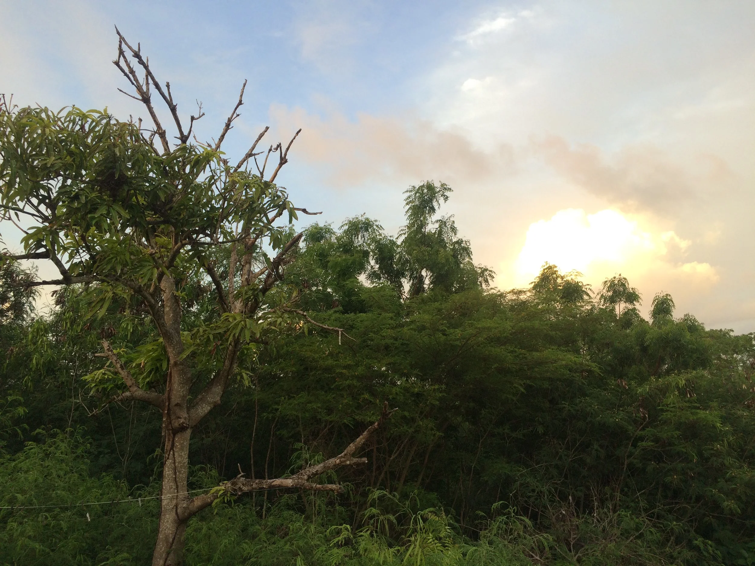 Antigua and Barbuda