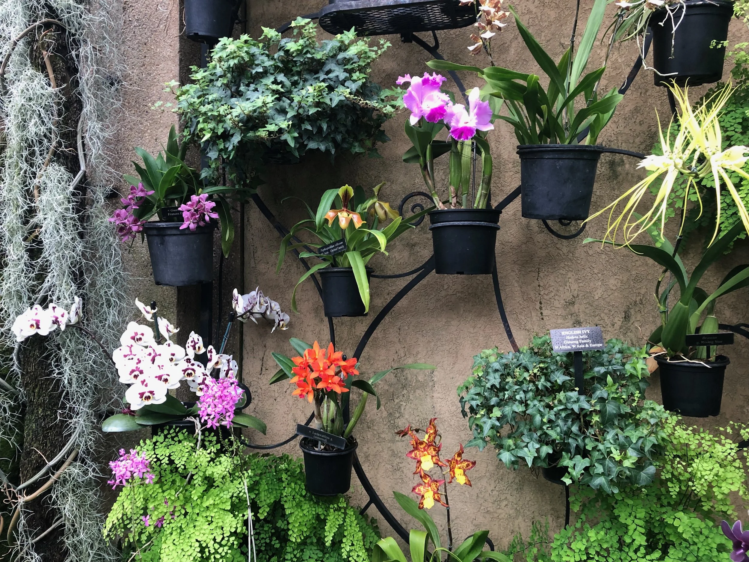 Longwood Gardens, PA