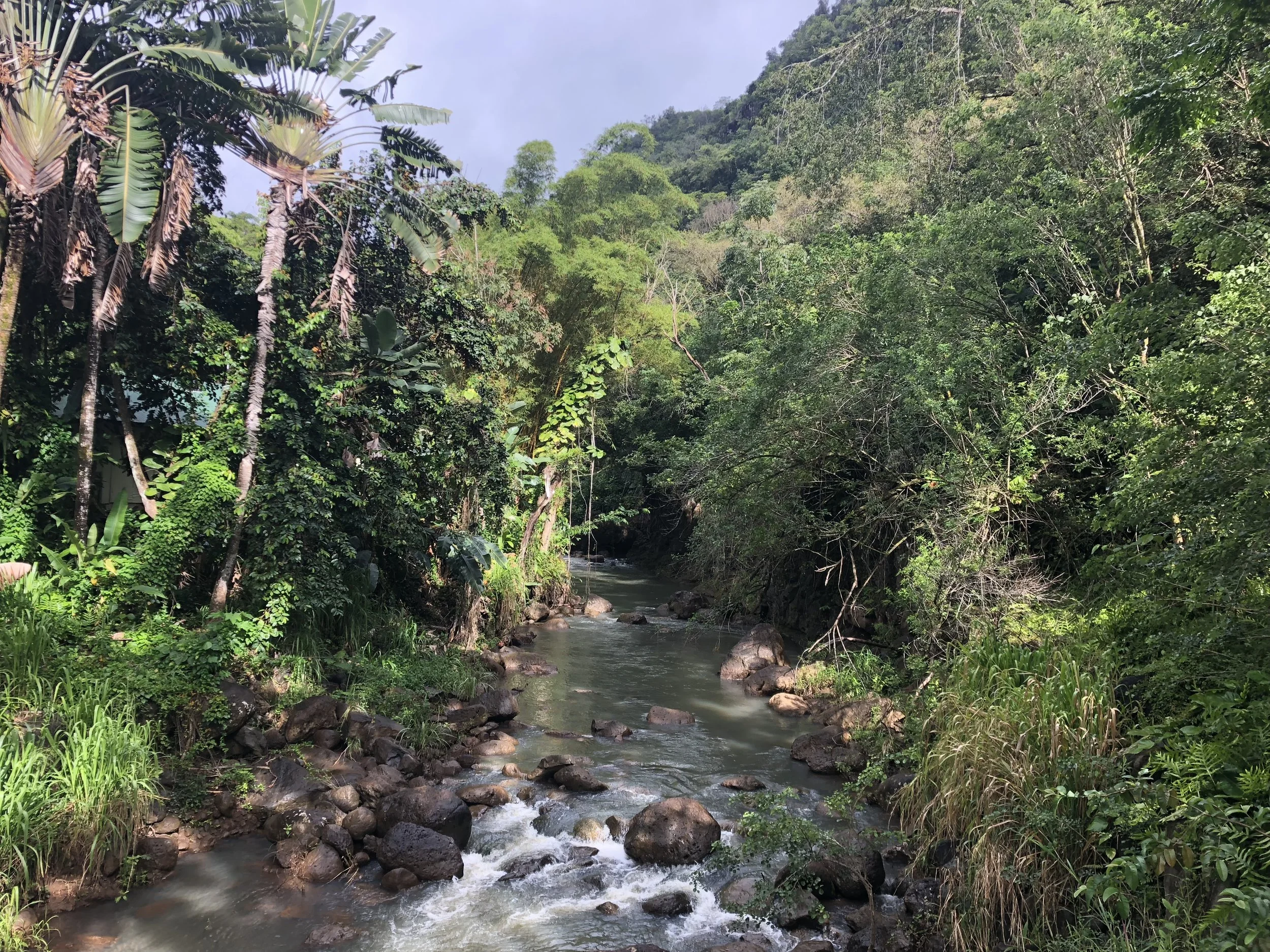 Waimea Falls, Haleiwa, Hawaii