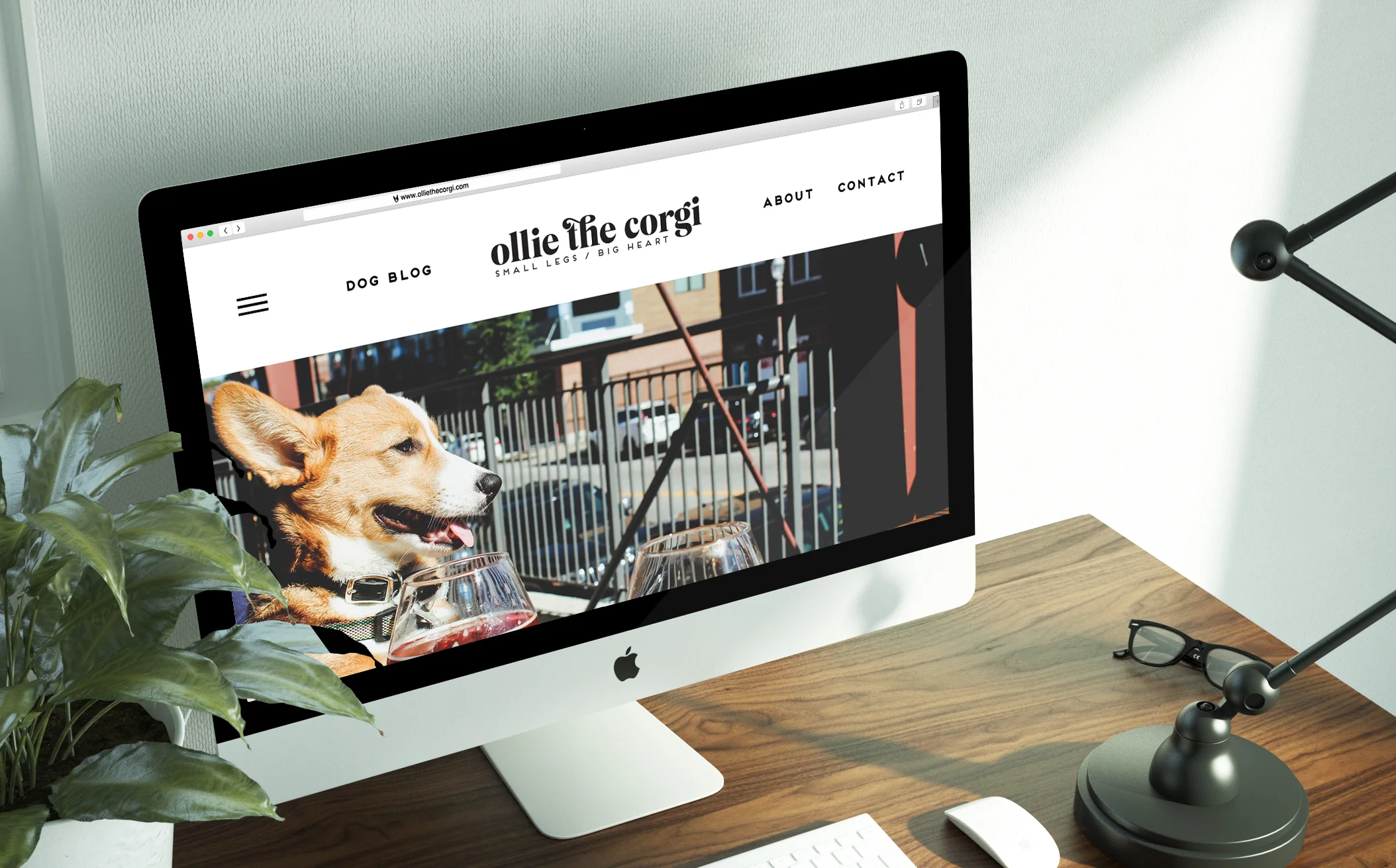 mod-co-branding-header.jpg