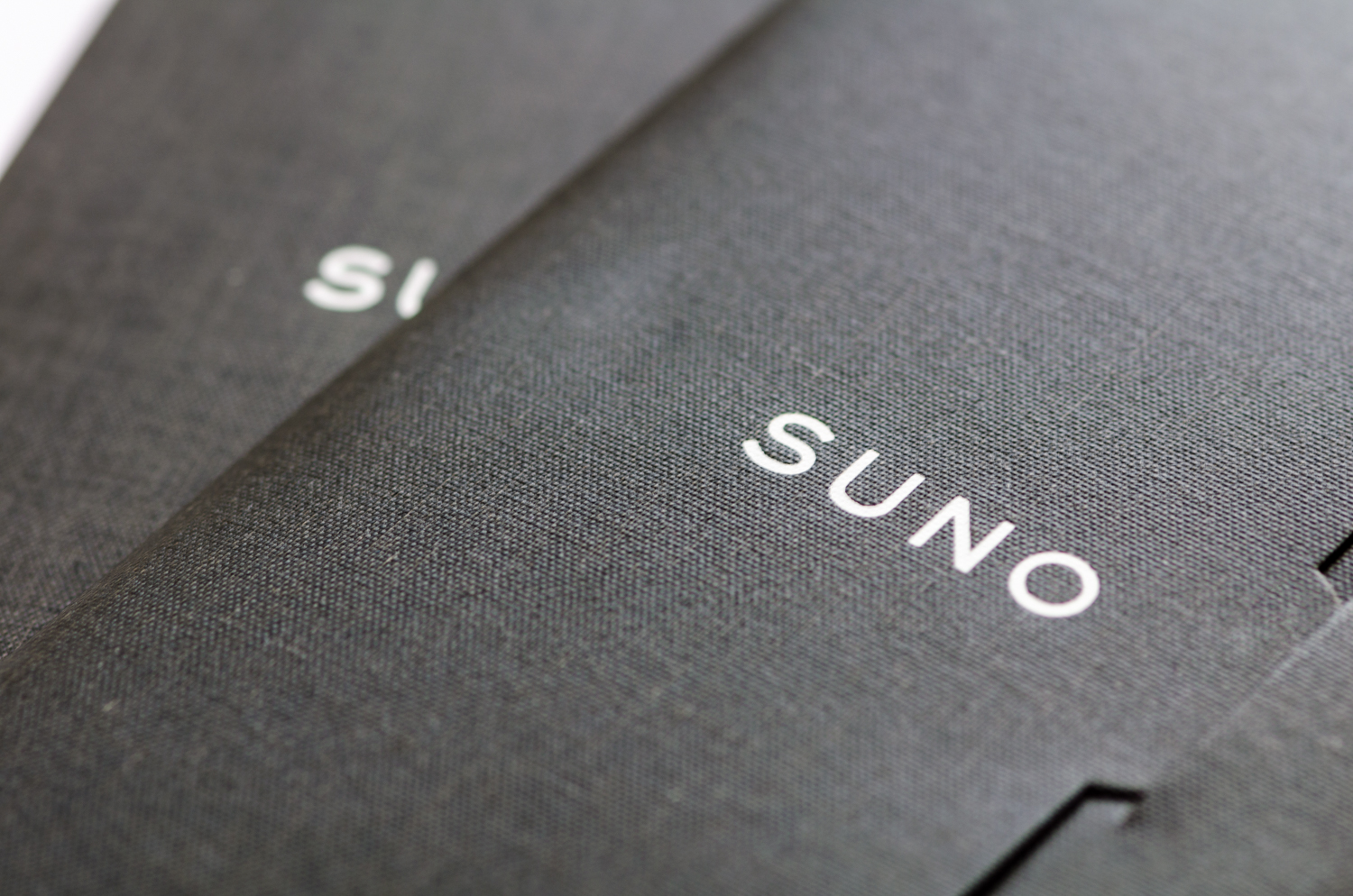 SPAR_Suno_0003.jpg
