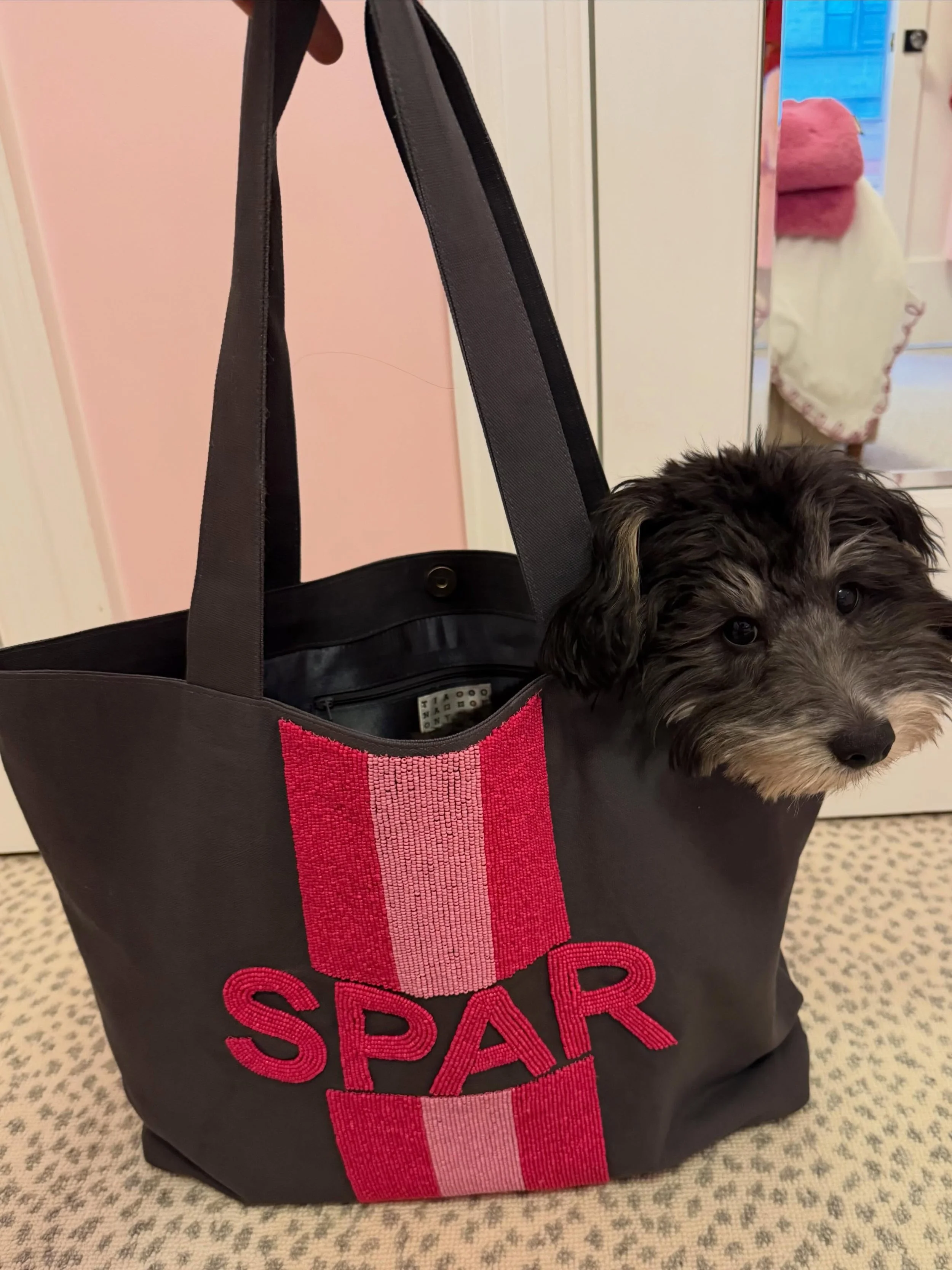 Beaded bag, fully SPAR-ified 🧵 Proof that no idea is too extra to execute! Dog not included, he just knows a good accessory when he sees one.

#MadeBySPAR #CreativeAgency #BrandStrategy #CustomDesign #CustomGifting