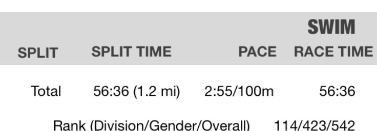 Swimming in choppy water with a thousand other people for 1.2 miles. More than the distance though... He swam for almost an hour. Shut up. Just. Shut. Up.