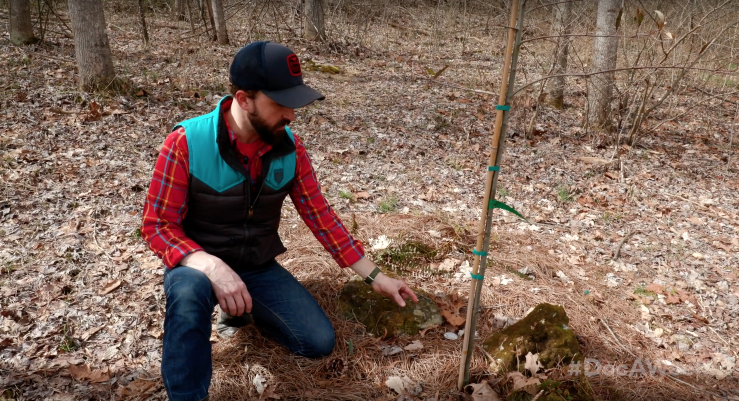 Larkspur Conservation at Taylor Hollow