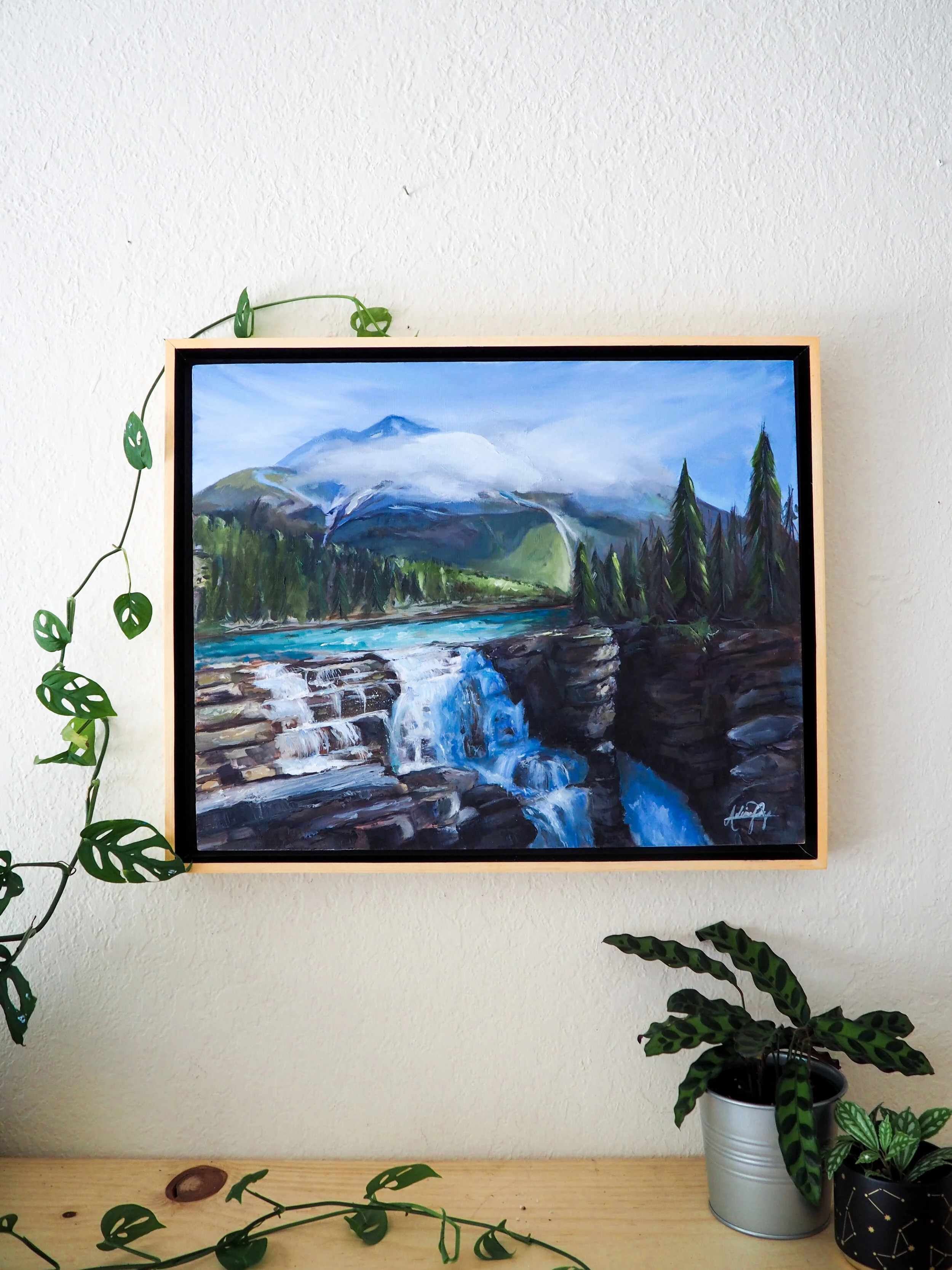 Athabasca Falls // Jasper National Park