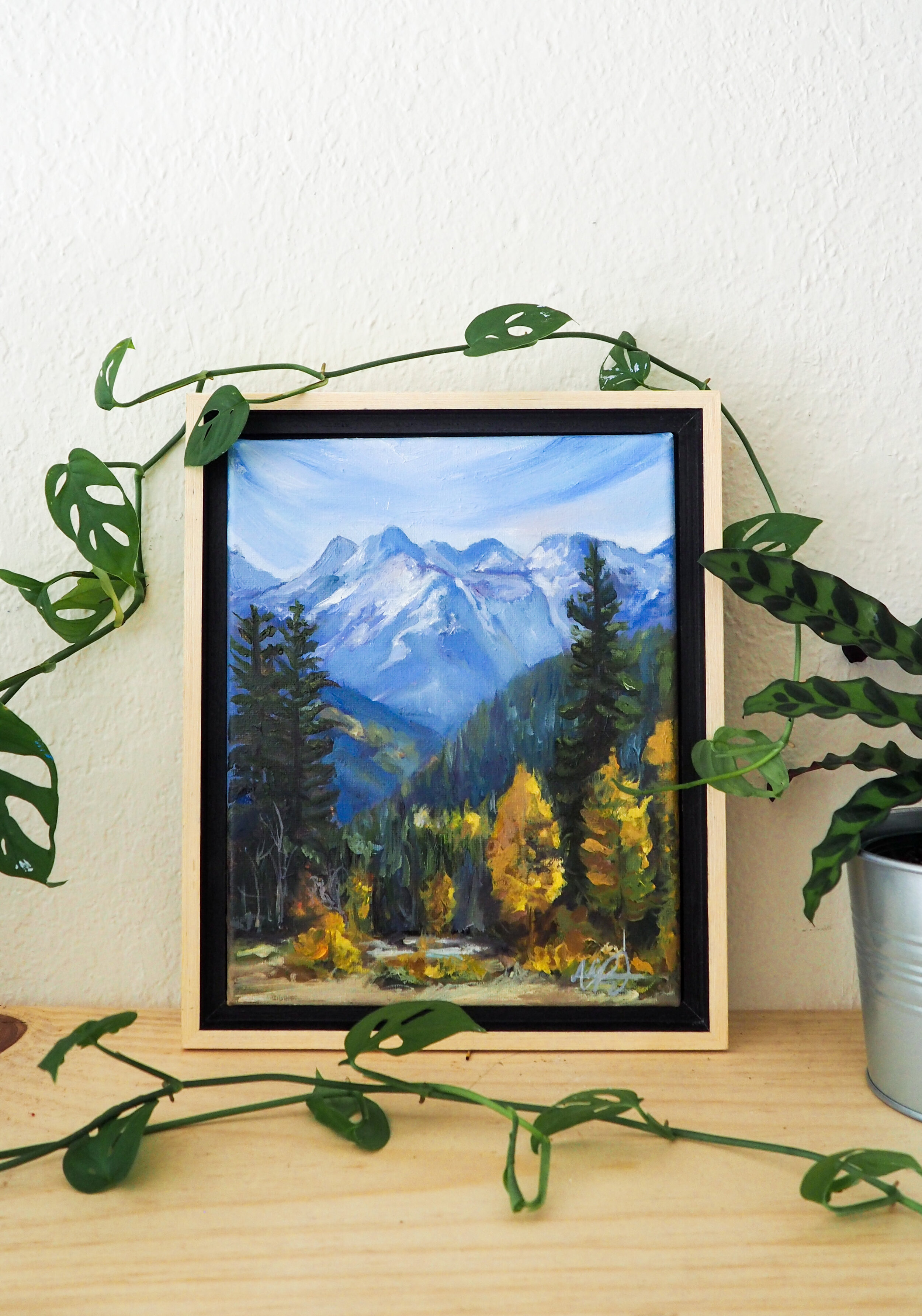 Rocky Mountain National Park