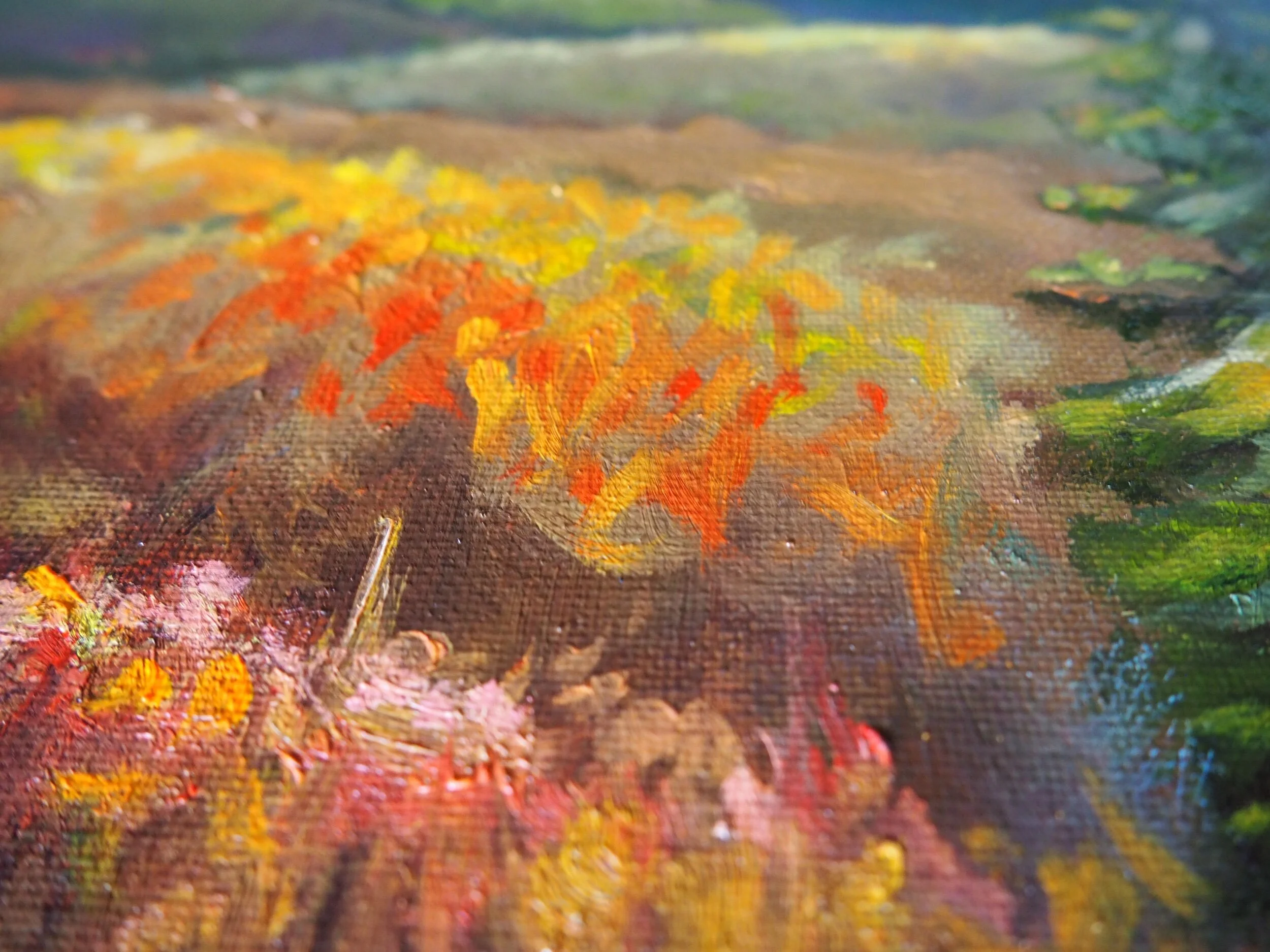 44B2E6B7-29F0-448D-AE9D-BC9741B69DEB