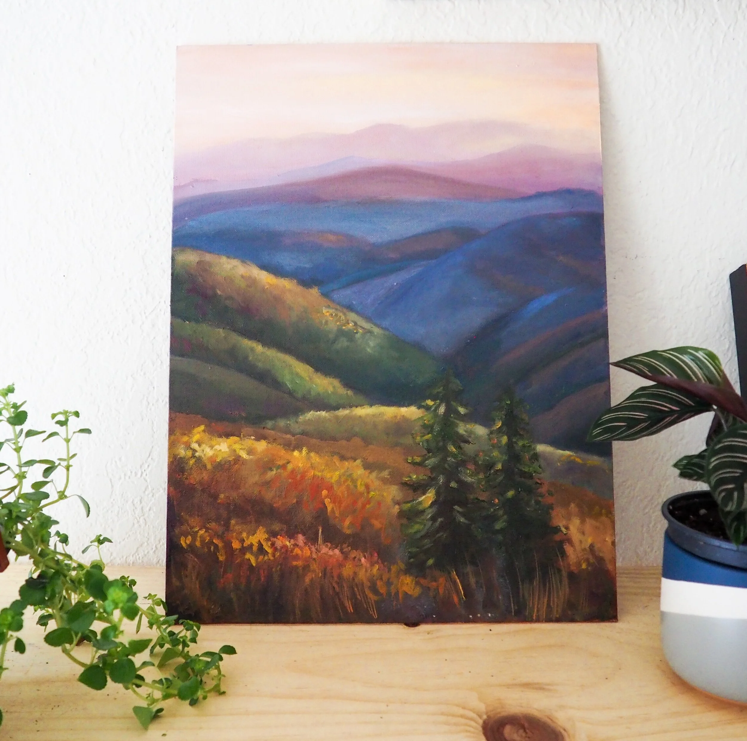 4784F059-E74C-4790-96AE-3910B7EF12EA