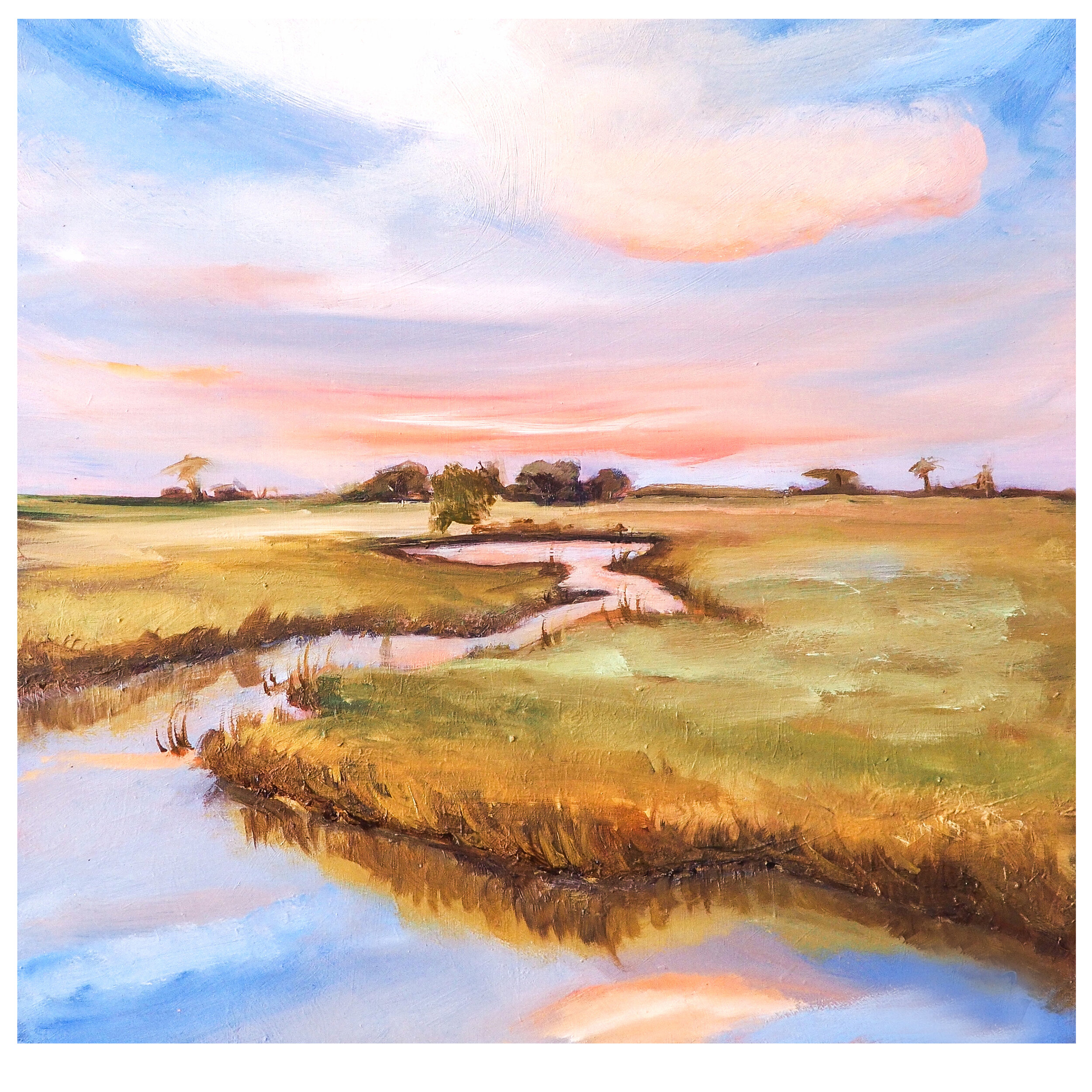 AWAKENING OF THE EVERGLADES