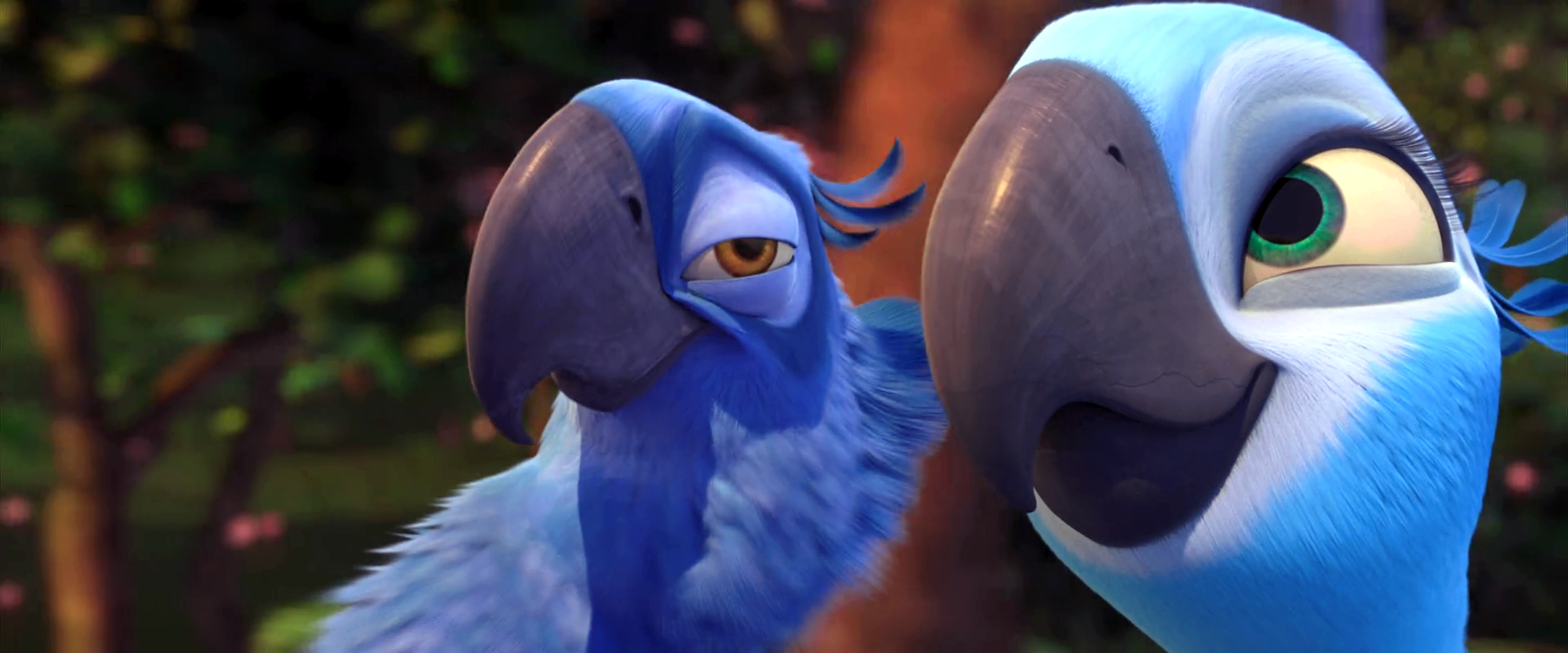Blu and Jewel, from the 2011 production Rio .