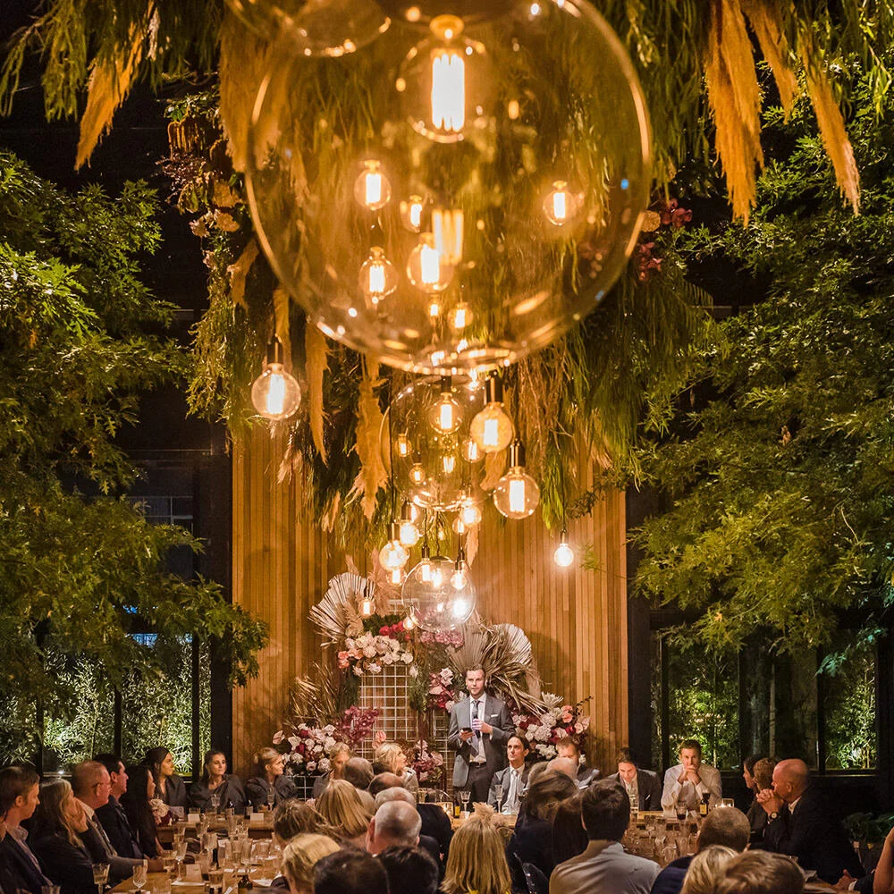 Lighting:    LA LUMIERE     Styled Lighting Package