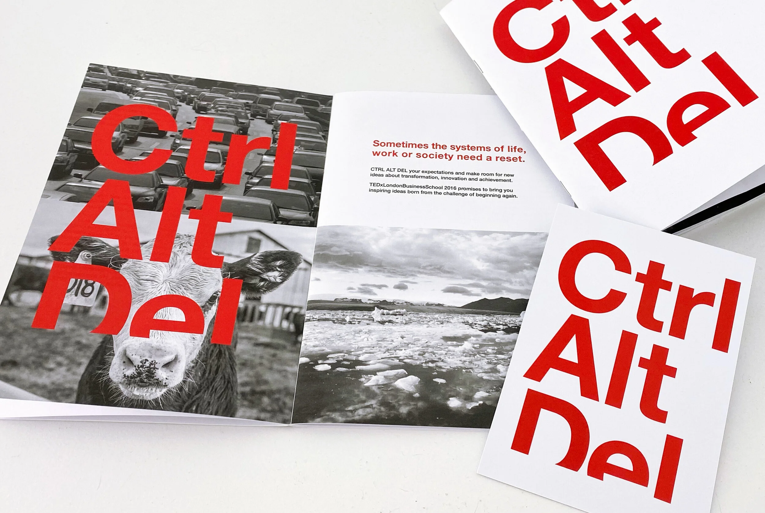 Tedx London Business School brochures featuring black-and-white images of a parking lot with cars, a lion, and a landscape with water and mountains, overlaid with large red text saying 'Ctrl Alt Del'.