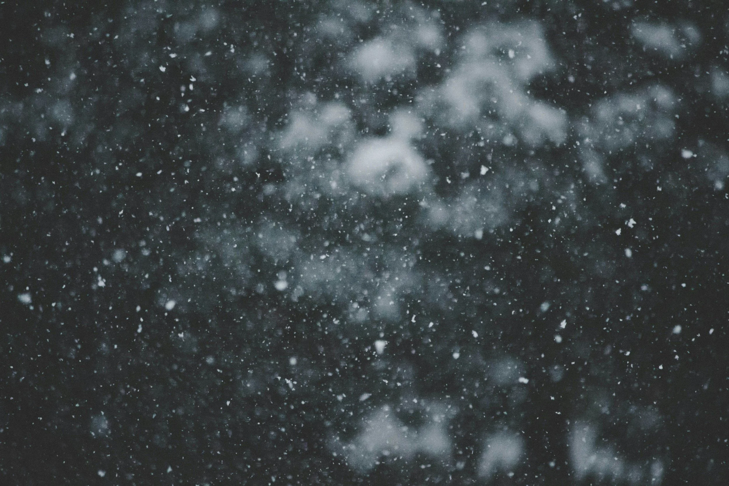 unsplash-image-PzhmEp_aDU4.jpg