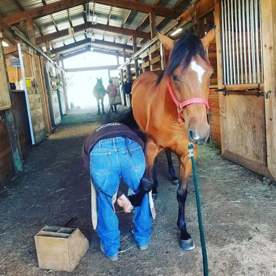 ruger farrier.JPG