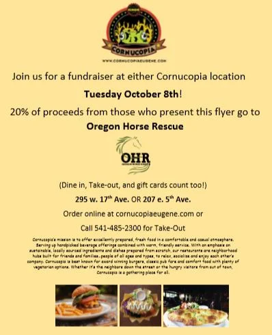 Cornucopia Fundraiser