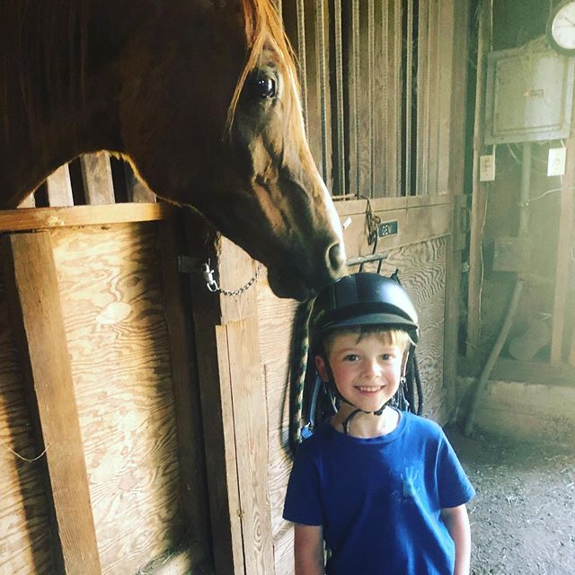 Need a new friend in your barn? Meet Caspian! This sweet Arabian gelding can be a little shy at first, but he&rsquo;s proven himself to be patient and kind (and great with kiddos.) Cas has an old, cold shoulder injury that prevents him from being rid