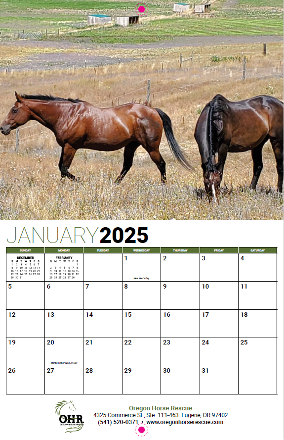 2025 OHR Calendar now only $3.00!