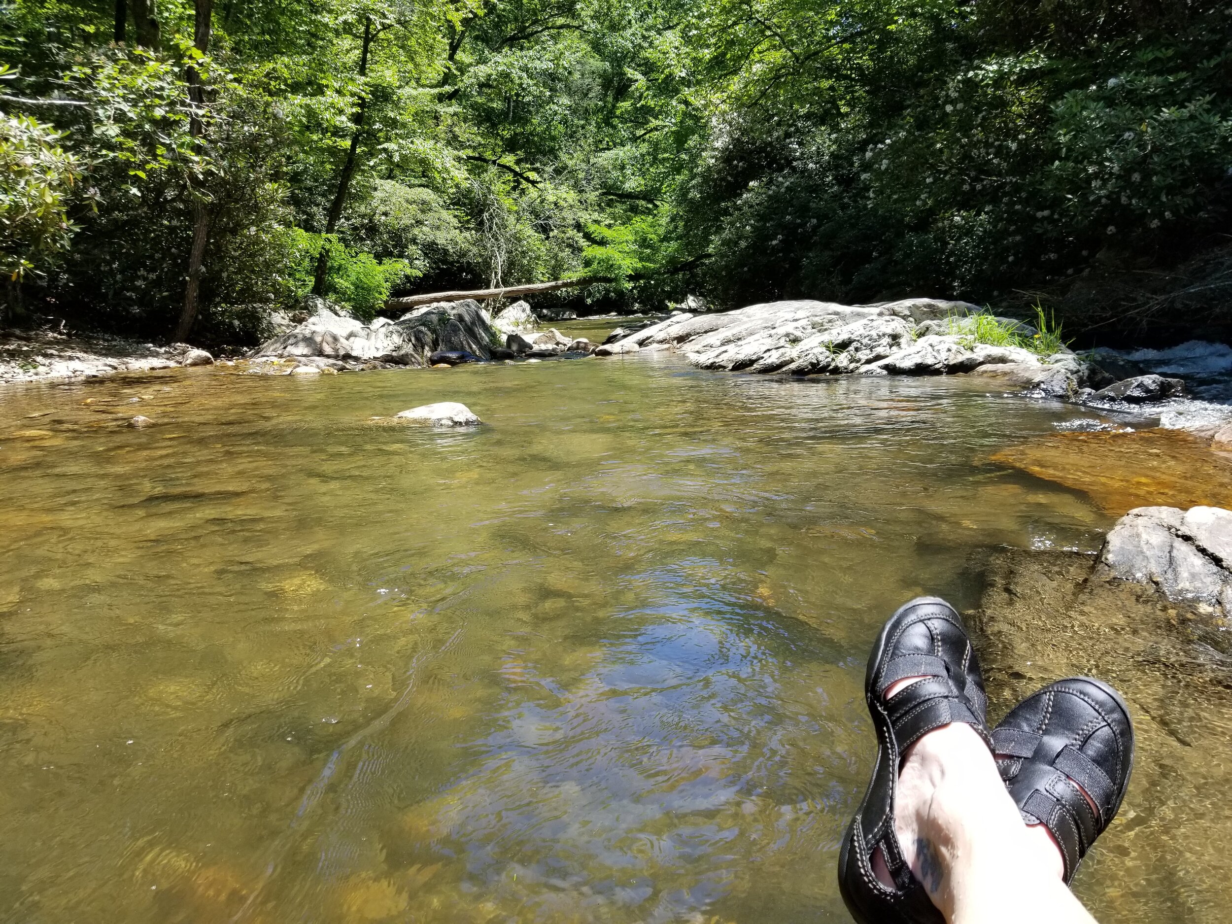 North Mills River, Pisgah National Forest, NC