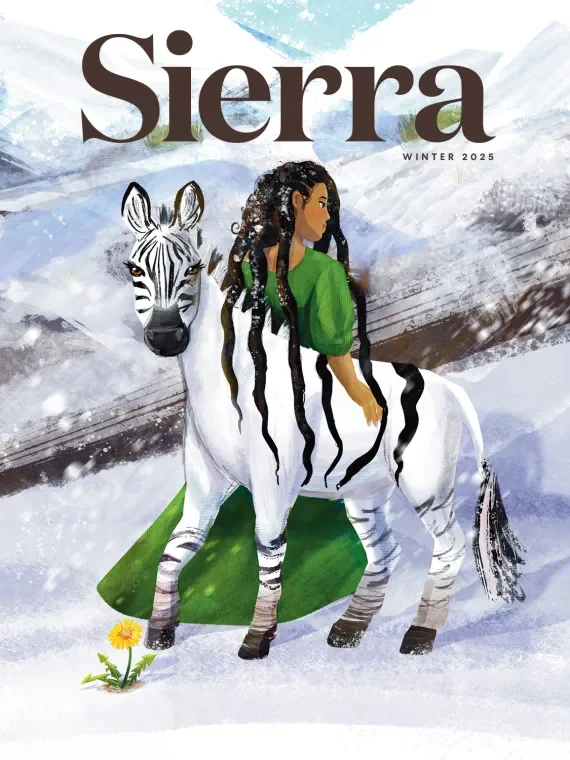 Sierra Magazine Winter 2025