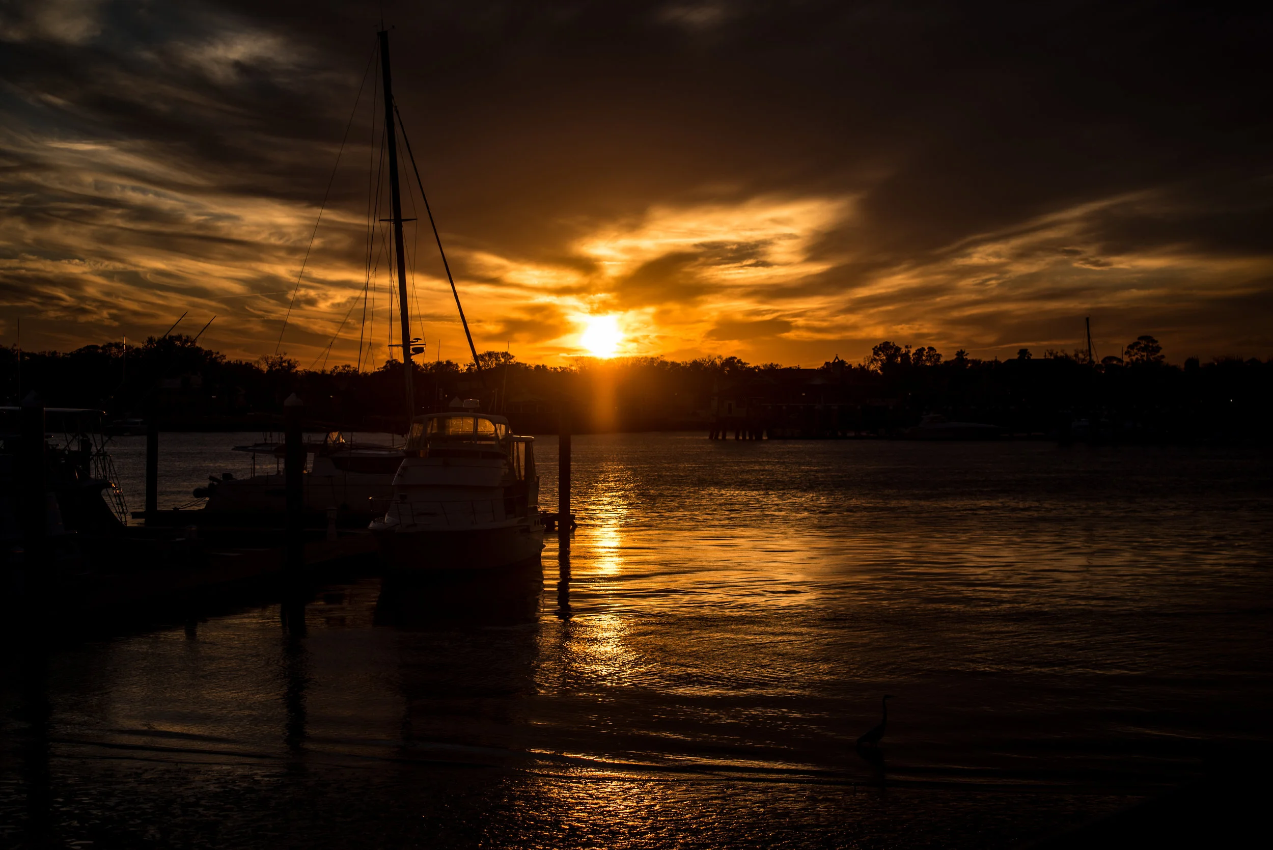 DSC_5439.jpg