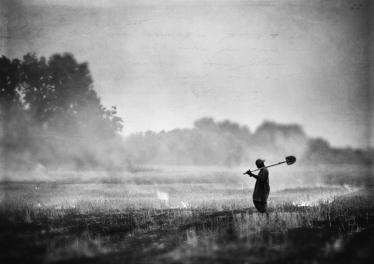 Every year in around the middle of October, fields that only days before were brilliant greens and yellows are burned to grays and browns in order to prepare the soil for a rebirth in the spring. ( Photo by Will H. Jacks )