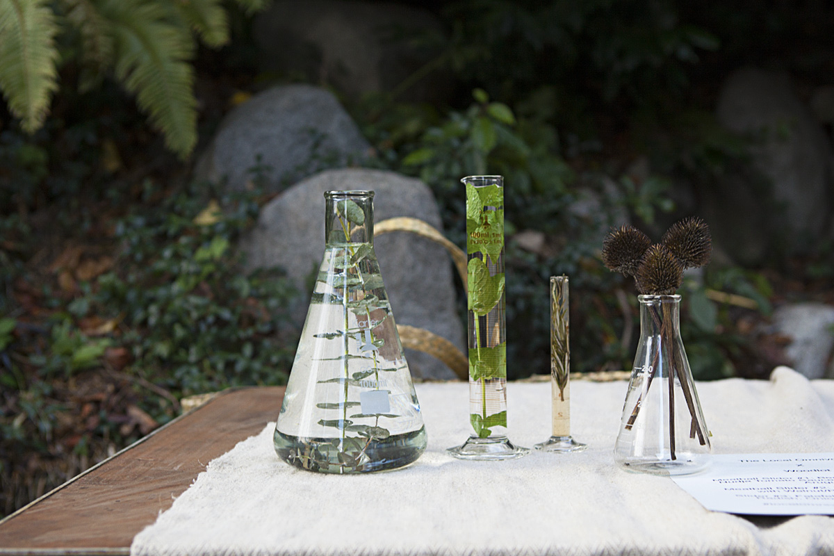 Petal to potion.