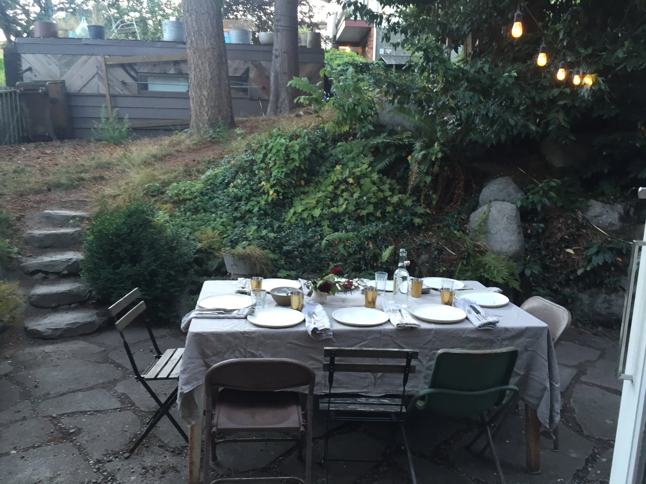 Our backyard