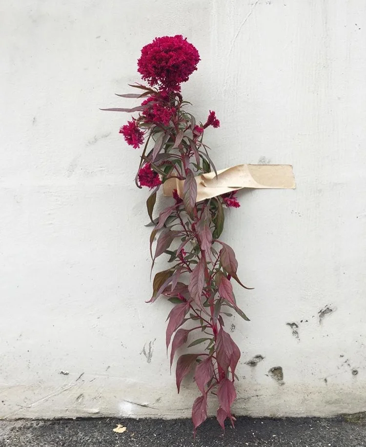 Happy Valentine's Day Thoughts | Janaki Larsen Photo| Amy Merrick