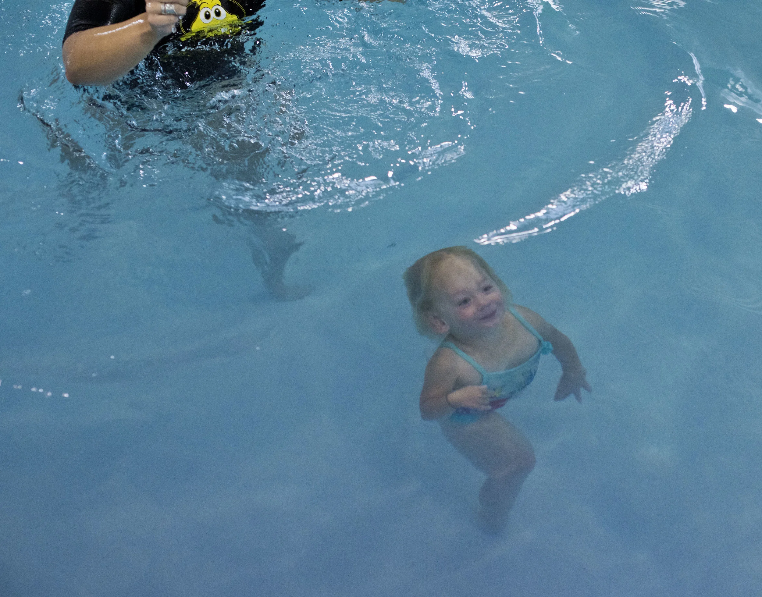 Little Fins Swim School