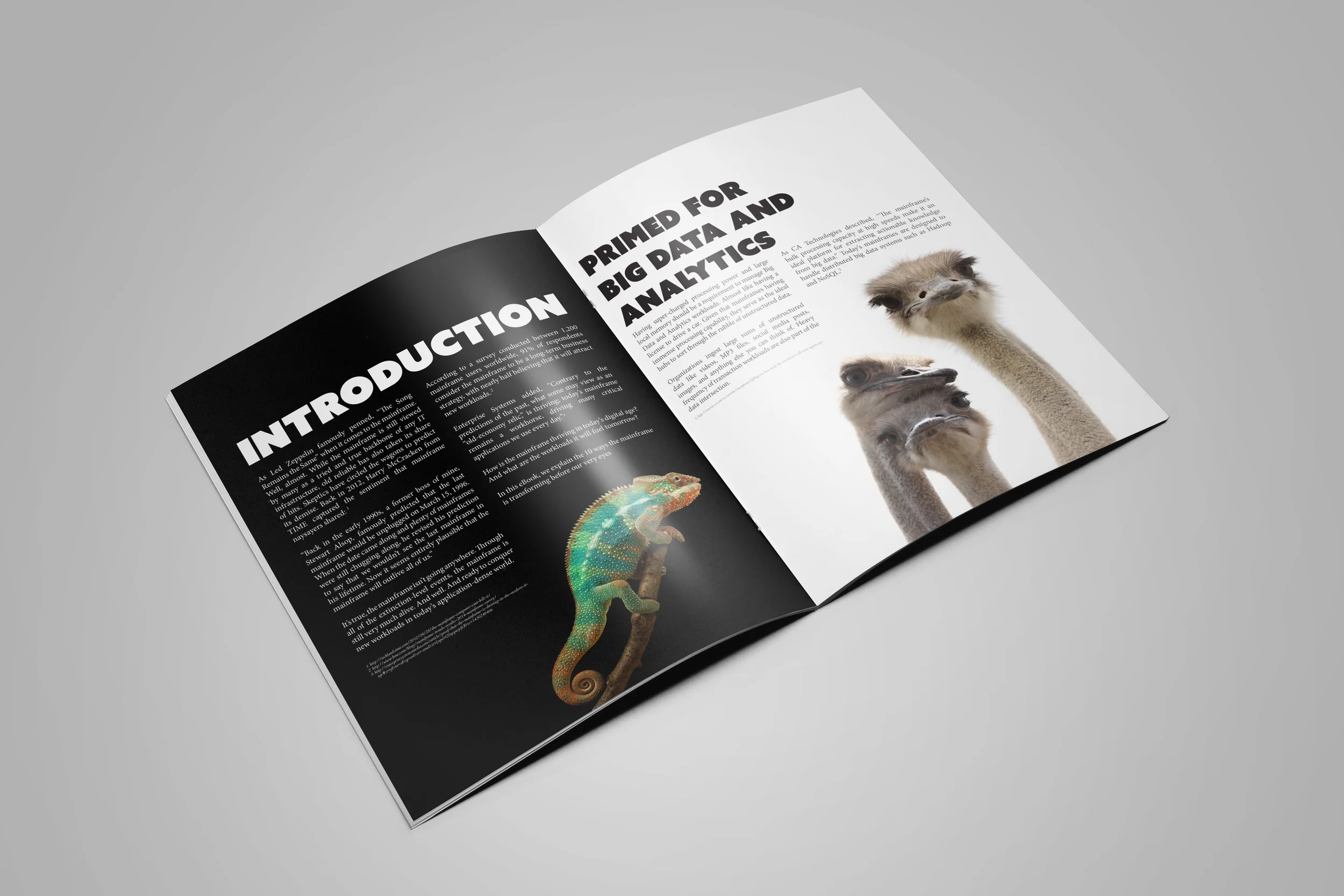 LRS eBook Interior.jpg