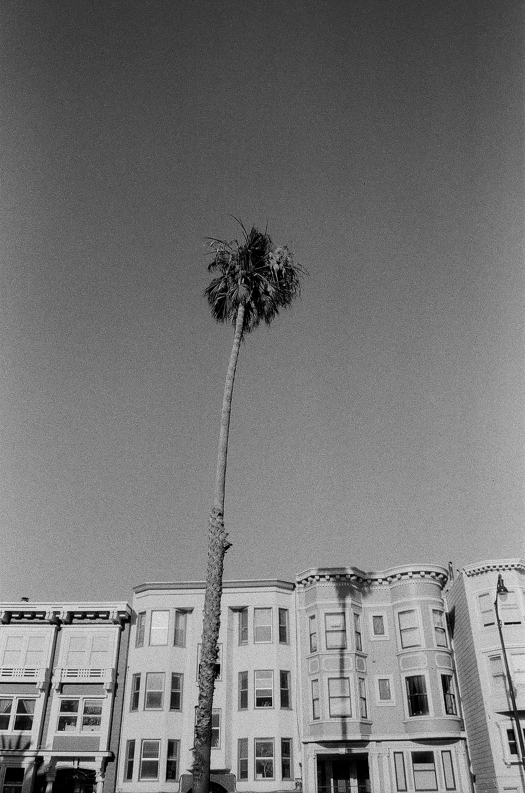 San Francisco, CA