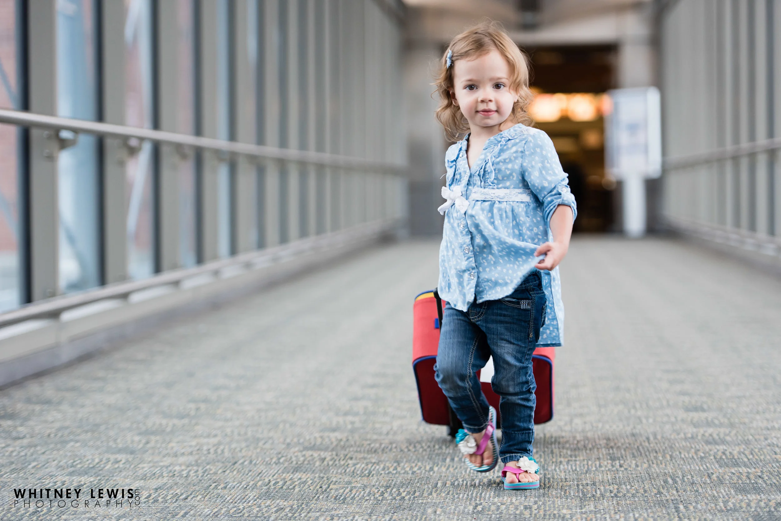 Blog — Whitney Lewis Photography - Utah Photographer