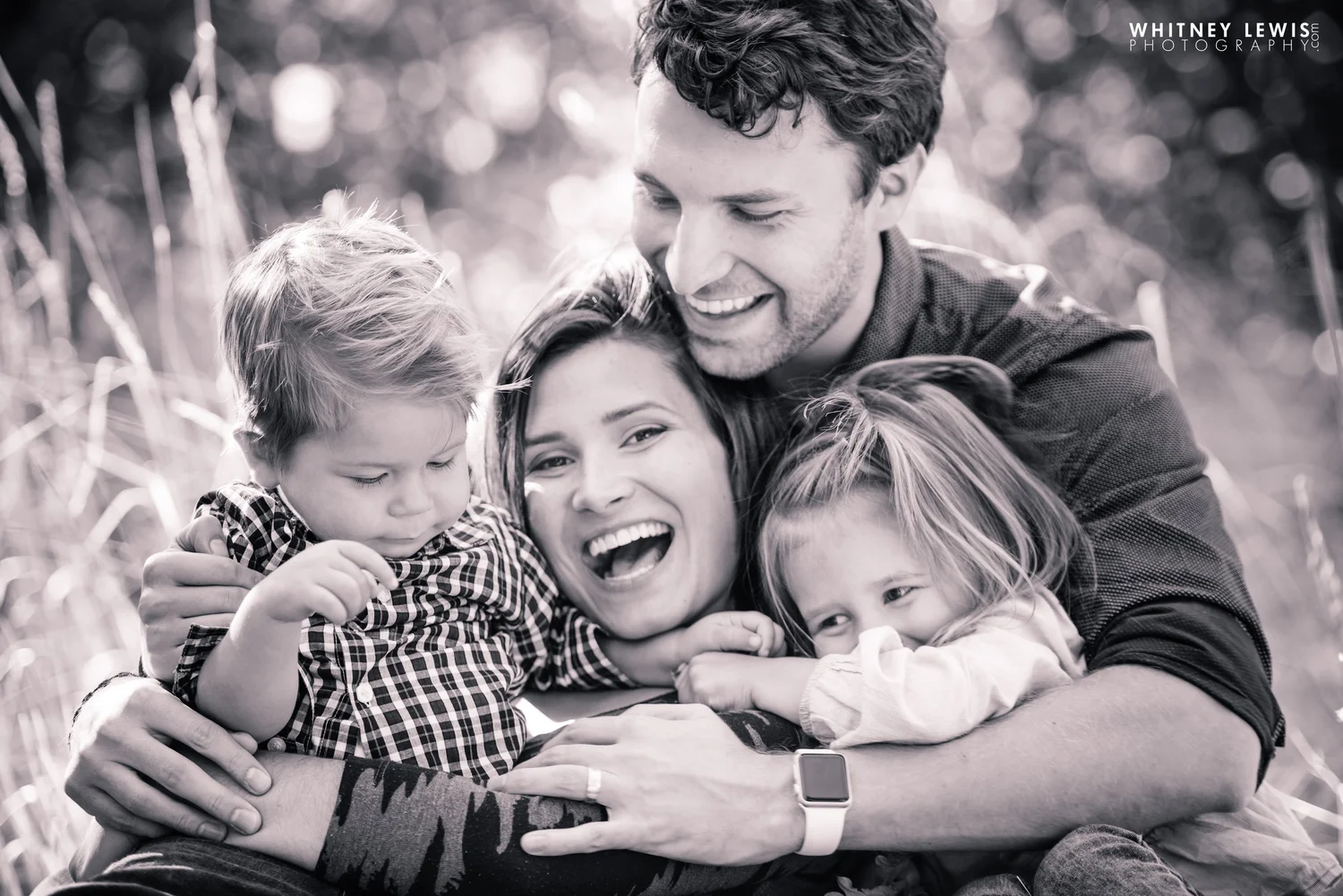 Blog — Whitney Lewis Photography - Utah Photographer