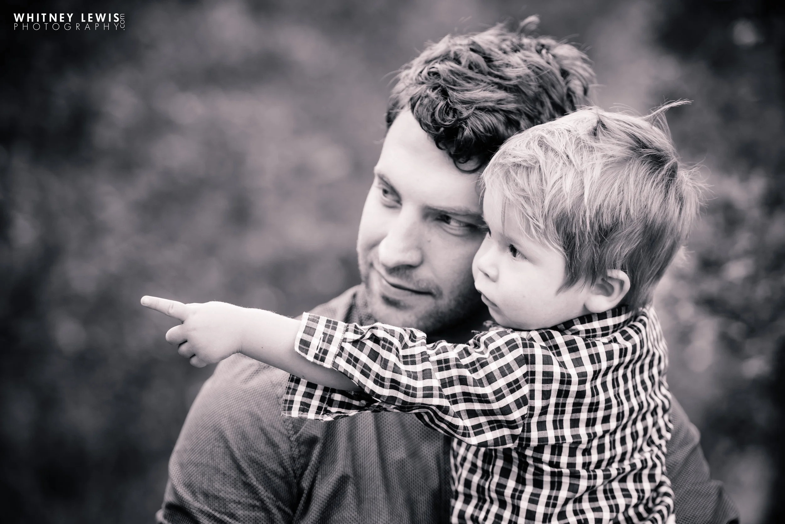 Blog — Whitney Lewis Photography - Utah Photographer